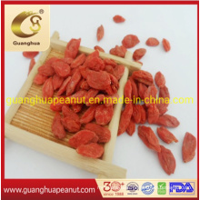 Best Quality Health Dried Goji Berry